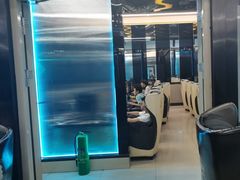 -绿树电竞(五路店)