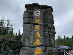 -汤旺河林海奇石景区