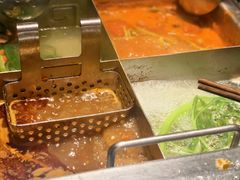 -海底捞火锅(公益西桥店)