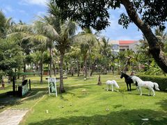 -三亚蜈支洲岛旅游区