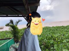 -洞里萨湖