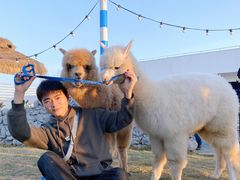 -Blue Concept Cafe&Farm·關於藍