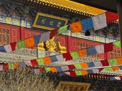 -安多素食(广仁寺路店)