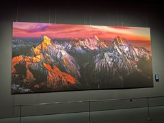 -罗红摄影艺术馆