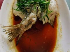 -金记猪肚鸡(琅西店)