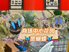 -LuOne凯德晶萃广场(徐家汇路店)