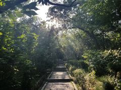 -贮水山儿童公园