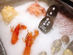 -玩米匠(寿司·刺身·金水正弘城店)