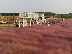 -嘉北郊野公园