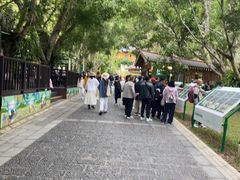 -野象谷景区