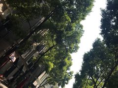 -黎黄陂路街头博物馆