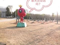 -安徽大学(磬苑校区)