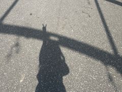 -上海佘山国家森林公园西佘山园