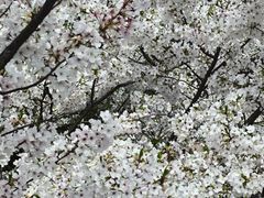 -杭州师范大学附属医院(杭州总院)