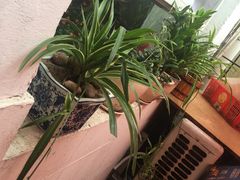 -如意香辣鸡架(总店)