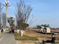 -桤木河湿地公园