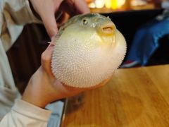 -永安鱼庄·镇江菜(丁卯店)