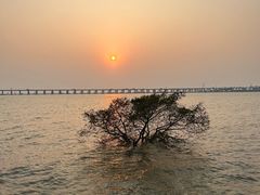 -宝安西湾红树林湿地公园