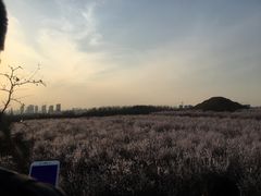 -明秦王墓遗址