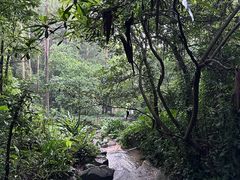 -火炉山森林公园