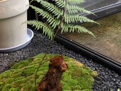 -Metal hands·铁手咖啡