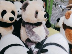 -轩客会(熊猫书店)