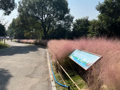 -梁鸿国家湿地公园