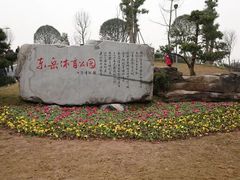-东岳体育公园