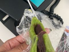 -沈大成(城隍庙店)