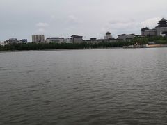 -莲花池公园