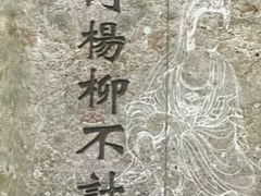 -印象普陀