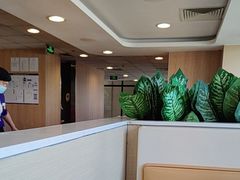 -麦当劳(军博店)