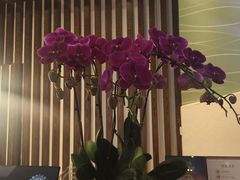 -长白山万达锦华套房酒店