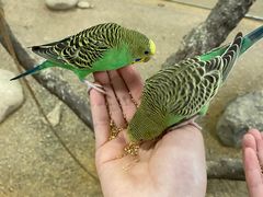 -砂之船奥特莱斯(合肥店)