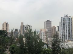 -香港大学