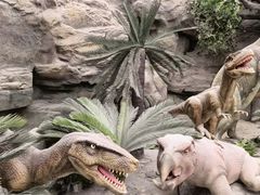 -国家自然博物馆