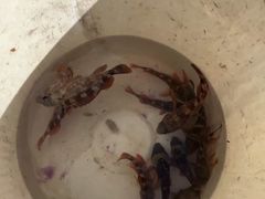 -阿军排档·烧烤