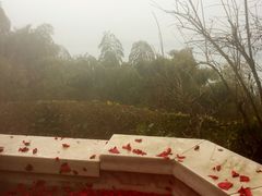 -天目湖涵田半山温泉