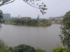 -枫香湖儿童公园