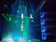 -水秀国际大剧院