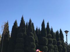 -焙丽拾光(麦凯乐直营店)