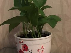 -大同王府至尊酒店