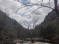 -黑河国家森林公园
