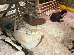 -正佳雨林生态植物园