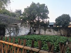 -绍兴鲁迅故里·沈园景区