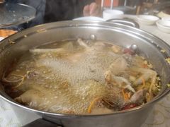 药膳乳鸽-百利鸽王(紫薇路店)