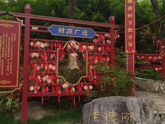 -茅山东方盐湖城景区