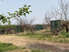 -亲兄弟真人CS团建拓展基地