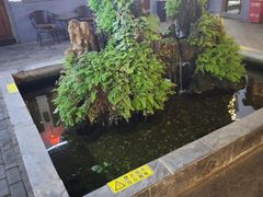 -炑羊香烤全羊(西三旗店)