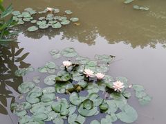 -云溪植物园